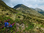 61 e su per il segnavia 415A in Valle Asinina...